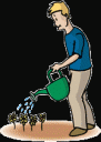regando-plantas.gif